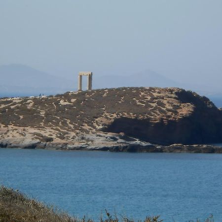 Vasiliki'S House Apartment Naxos City Exterior photo